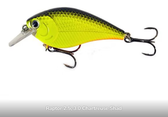 Raptor 2.5" Squarebills