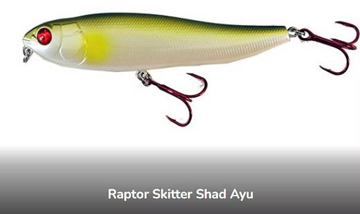 Raptor Skitter Shad