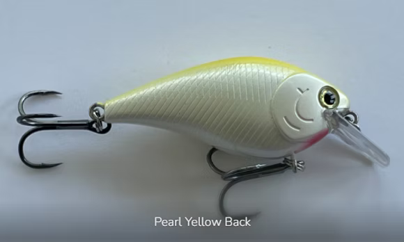 Raptor 2.5" Squarebills