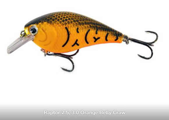 Raptor 2.5" Squarebills