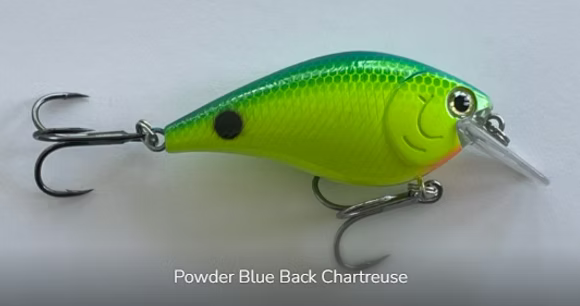 Raptor 2.5" Squarebills