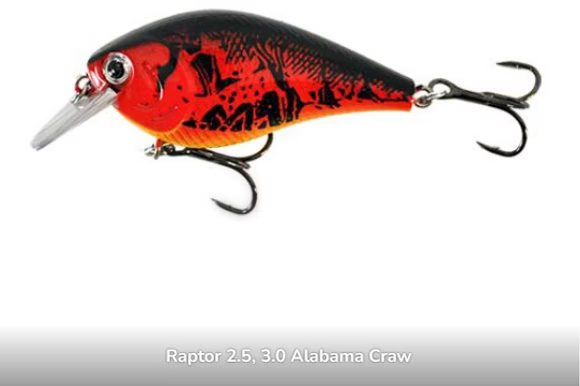 Raptor 2.5" Squarebills